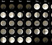 Image result for We'Moon 2018 February
