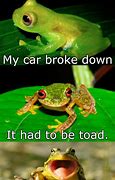 Image result for I Got Too Silly Frog Meme