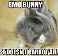Image result for Crazy Rabbit Meme