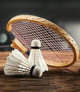 Image result for Badminton Court HD