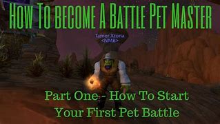 Image result for Battle Pet Masters