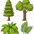 Image result for Tipos De árboles