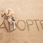 Image result for The Tucson Dog Logo