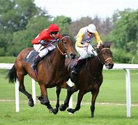 Image result for Just a Way the Racing Horse