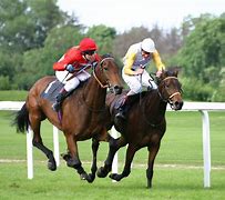 Image result for Pics of Horse Race