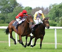 Image result for British Horse Race