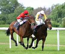 Image result for Racing Horse Features