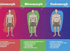 Image result for Ectomorph Meal Plan for Men
