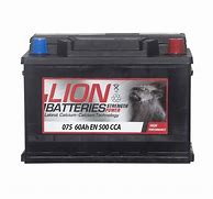 Image result for Lion Battery 12V