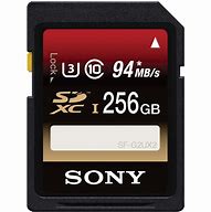 Image result for SDXC Card 256GB