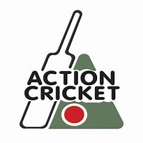 Image result for Cricket Logo.png