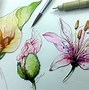 Image result for Black Ink Drawings of Flowers