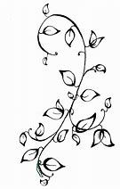 Image result for Vines Drawing Line Art