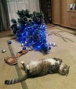 Image result for Cat vs Christmas Tree