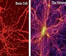 Image result for Universe Looks Like Brain