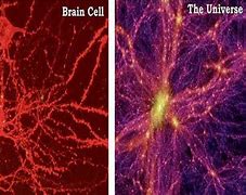 Image result for Universe Expanding Brain