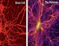 Image result for The Human Brain and the Cosmos