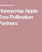 Image result for Honeycrisp Apple Pollinators