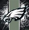 Image result for Philadelphia Eagles Profile Pictures