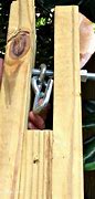 Image result for Mini Bolt with Hook