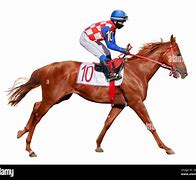 Image result for Horse Racing Bet Types