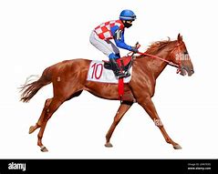 Image result for Horse Racing Machine