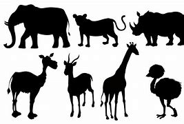 Image result for Animal Silhouette Vector