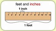 Image result for 1st Grade Measuring in Inches Worksheet