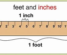 Image result for 5 Foot Ruler