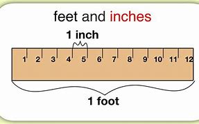 Image result for 1.5 Feet