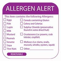 Image result for Food Allergy Stickers