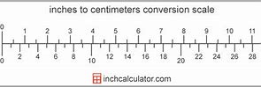Image result for How Huge Is 15 Meters