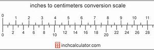 Image result for 11 Meters Long