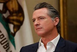 Image result for Gavin Newsom Biography