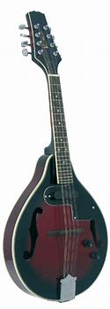 Image result for Blue Moon Quattro Gr 3220 Mandolin