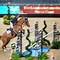 Image result for London Horse Show