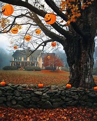 Image result for Beautiful Halloween Photography