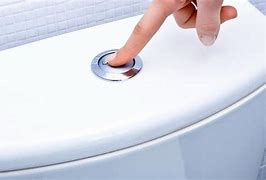 Image result for Toilet Bowl Flush Button