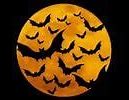 Image result for Spooky Halloween Bats