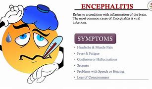 Image result for Encephalitis Memory Notebook of Nursing