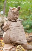 Image result for Armadillo Head Dress