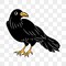 Image result for Crow Markovic
