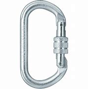 Image result for Silver Locking Carabiner