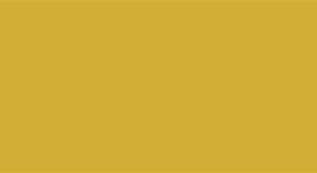 Image result for Metallic Gold Hex