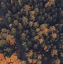Image result for Beautiful iPhone XS Max Wallpapers