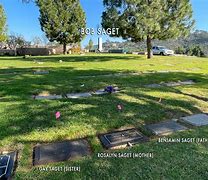 Image result for Bob Saget Grave