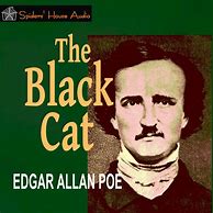 Image result for Black Cat Project Edgar Allan Poe