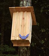 Image result for Basic Bat House Design