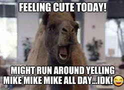 Image result for Hump Day Camel Mike Meme