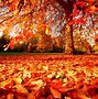 Image result for Fall Pics Wallpaper